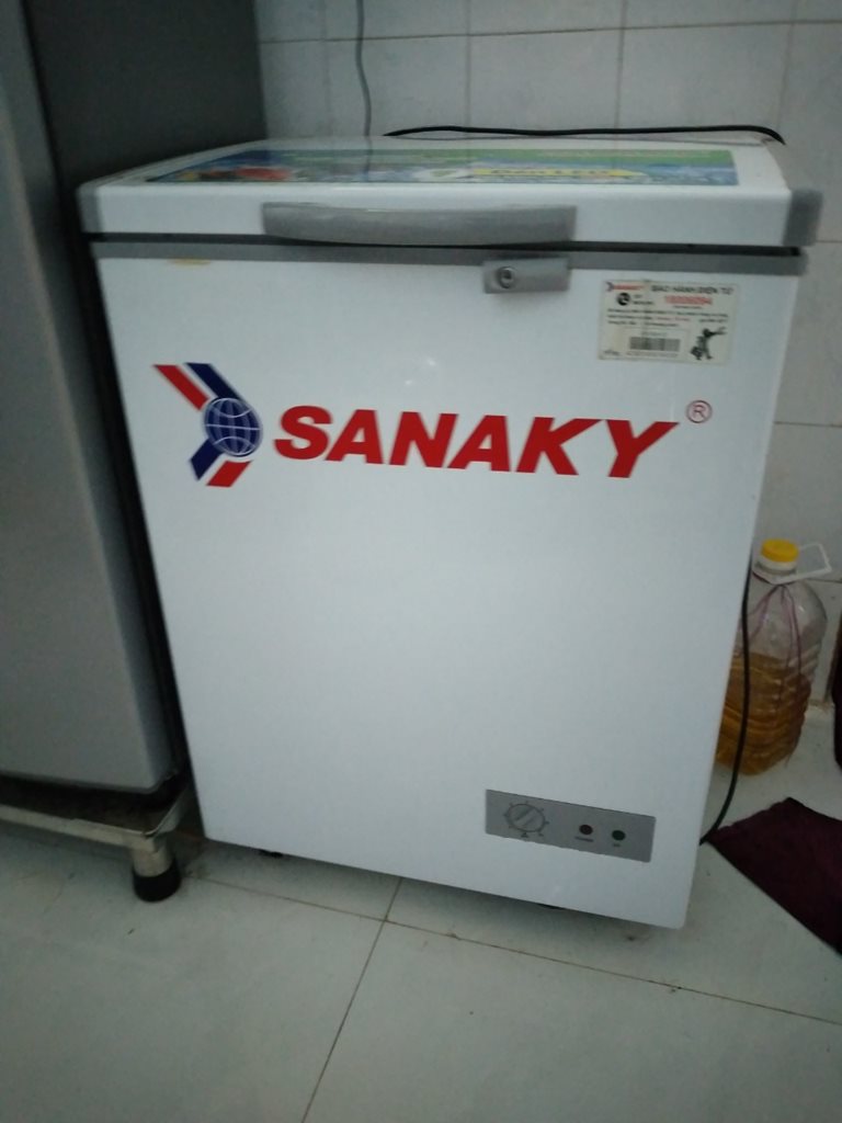 Tủ đông alaska 100l