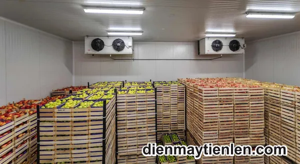 Thu mua kho mát cũ