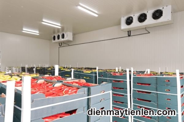 thu mua kho mát cũ