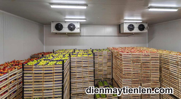 thu mua kho mát cũ