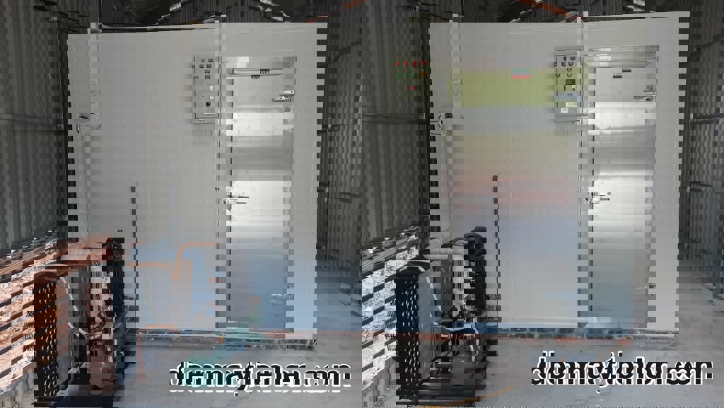 thu mua kho đông cũ