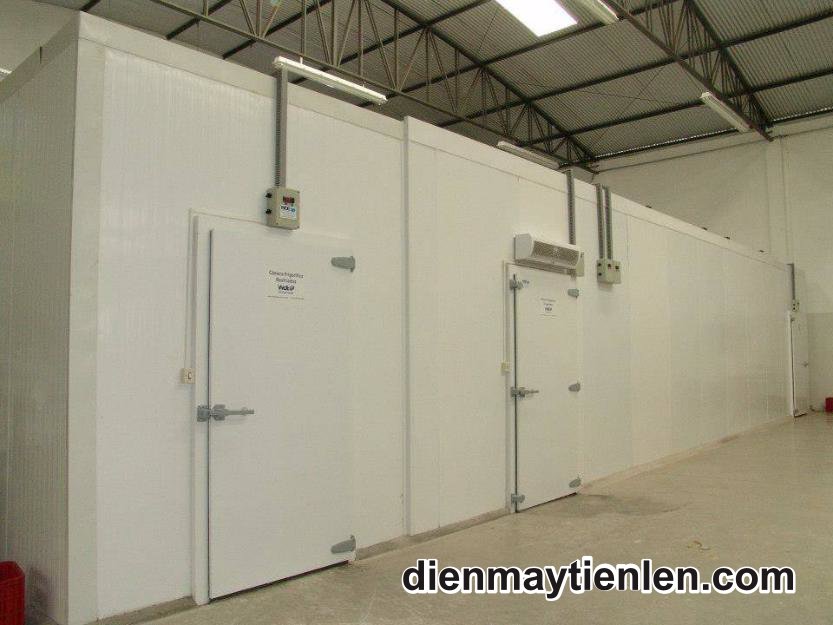 thu mua kho đông cũ